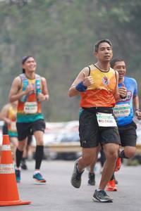 BIB: 25293, 210
                            <button type="button" onclick="openModal(8303014)" class="btn btn-primary btn-sm float-right btn-popup" data-toggle="modal" data-target=".modal-high-quality">
                        <i class="fas fa-shopping-cart"></i> Add to Cart
                    </button>
                                            <button type="button" onclick="isThisMe(8303014, true)" class="btn btn-success btn-sm float-right btn-popup btn-isme hidden" data-toggle="tooltip" data-placement="bottom" title="นี่คือรูปของคุณใช่ไหม คลิกที่นี่เพื่อเอาเข้าอัลบั้ม">
                        <i class="fas fa-plus"></i> Add to album
                    </button>
                    <button type="button" onclick="isThisMe(8303014, false)" class="btn btn-warning btn-sm float-right btn-popup btn-isnotme hidden">
                        <i class="fas fa-ban"></i> Remove from album
                    </button>
